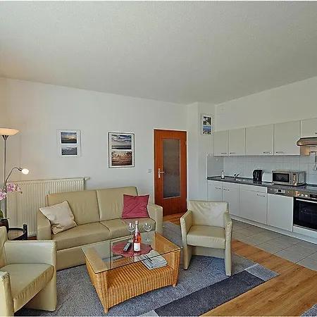 Seagull Comfortable *