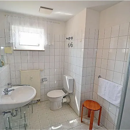 Seagull Comfortable *